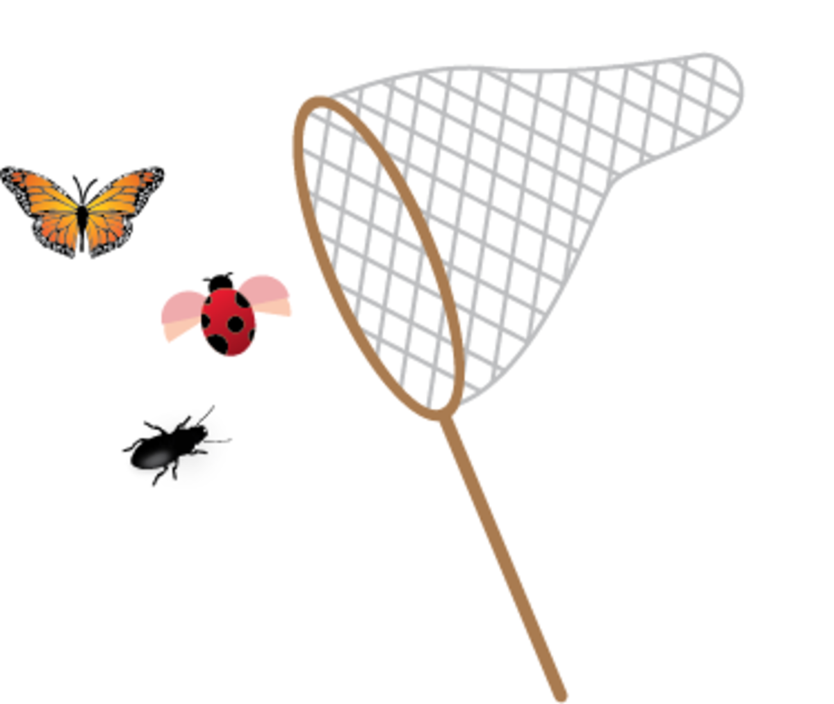 Field Investigations Bug Biodiversity and Ecosystem Benefits Great